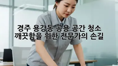 경주 용강동 공용 공간 청소, 깨끗함을 위한 전문가의 손길