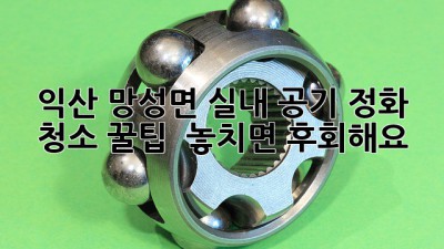 🏡 익산 망성면 실내 공기 정화 청소 꿀팁! ✨ 놓치면 후회해요!