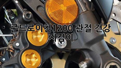 콘드로이친1200: 관절 건강 지킴이